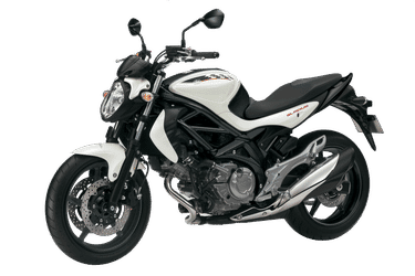 Suzuki Suzuki Gladius