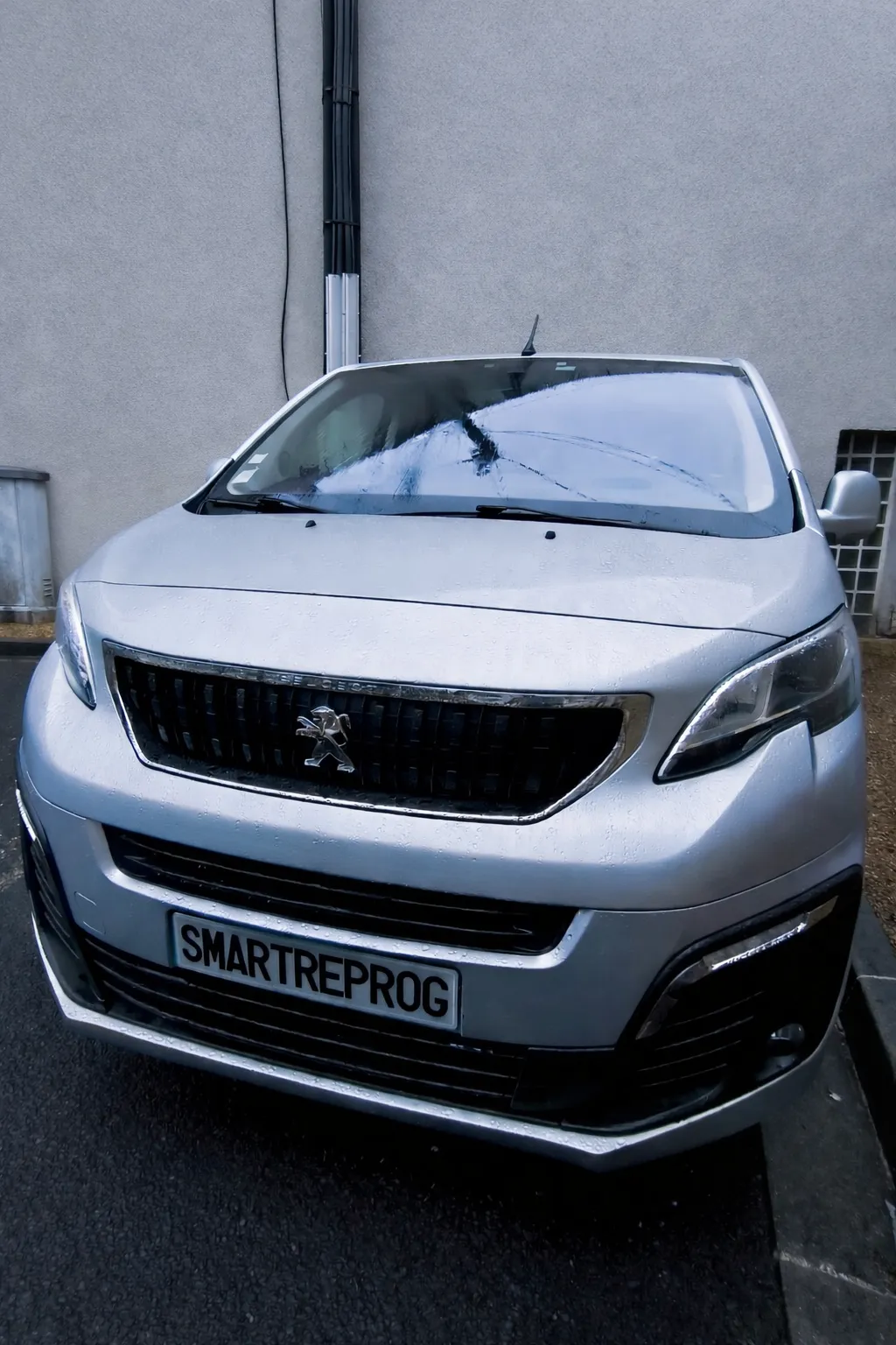 Peugeot Expert Traveller 2.0 HDi - Solution AdBlue