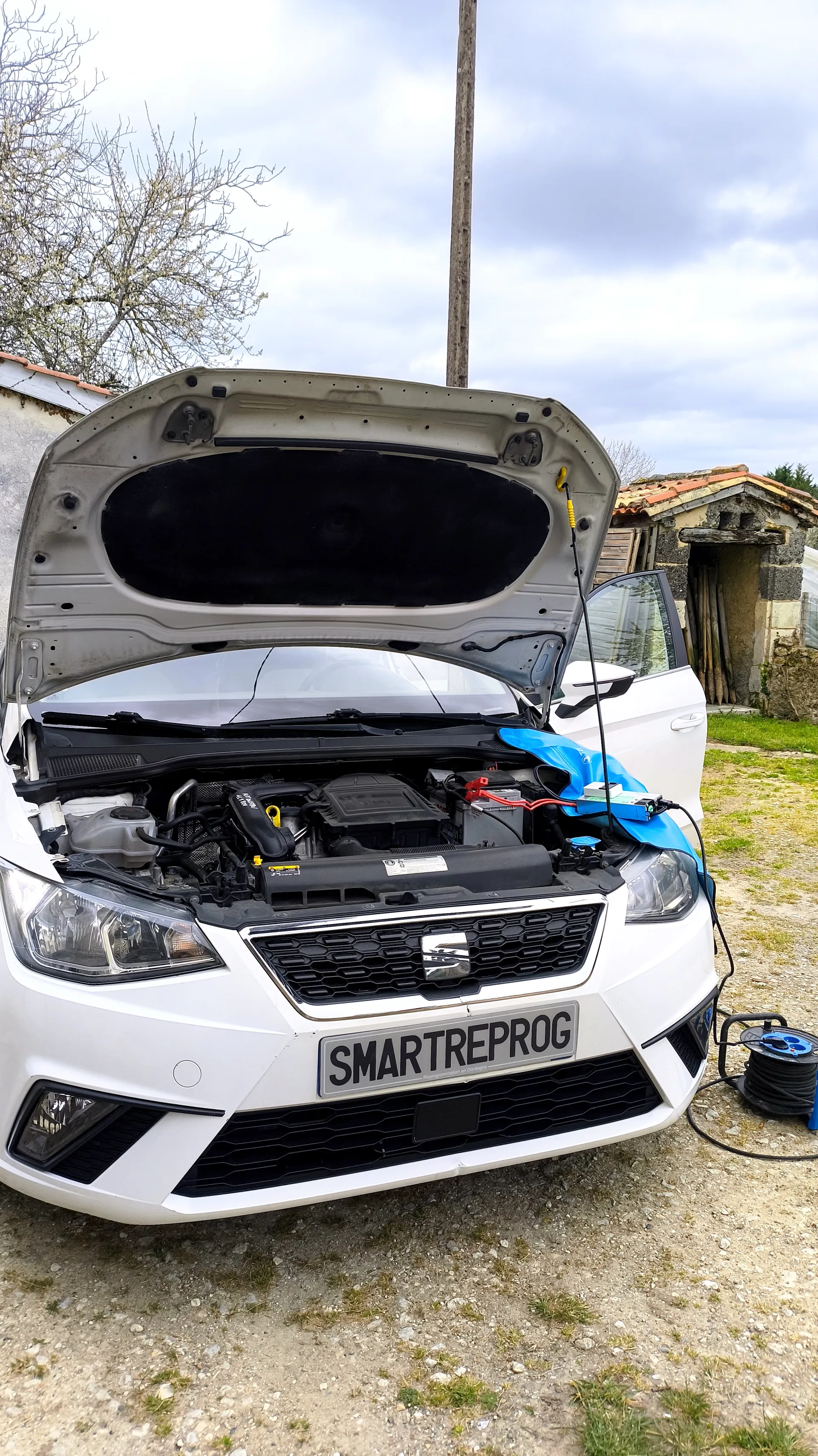 Seat Ibiza 1.0 TSI — Conversion E85 + Stage 1