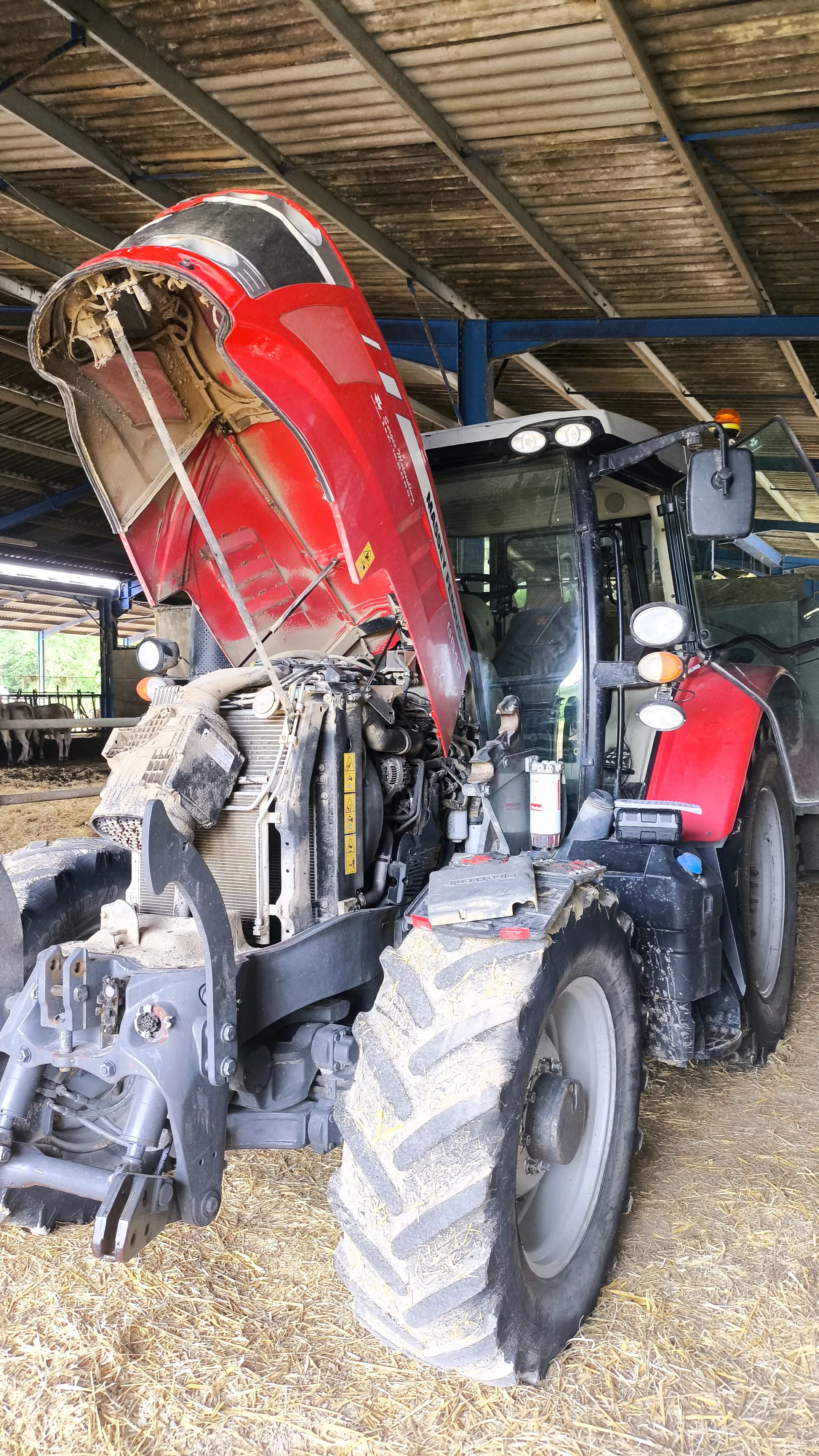 Massey Ferguson 6613 - Solution AdBlue