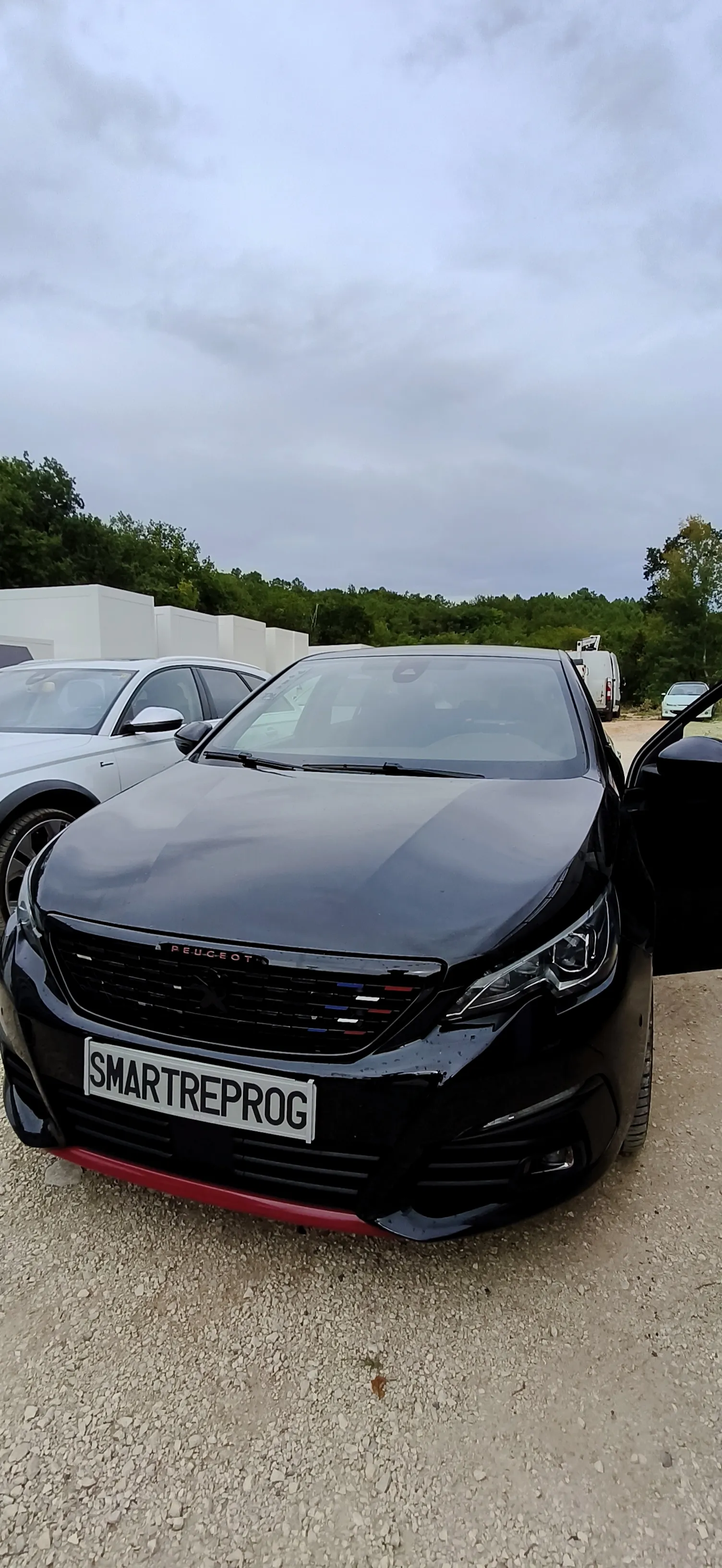Peugeot 308 2.0 HDi 180 - Stage 1 + Solution AdBlue